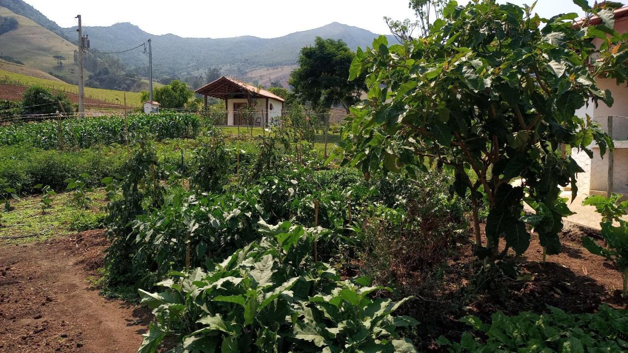 Quinta Do Papagaio Villa Поусо Алто Екстериор снимка